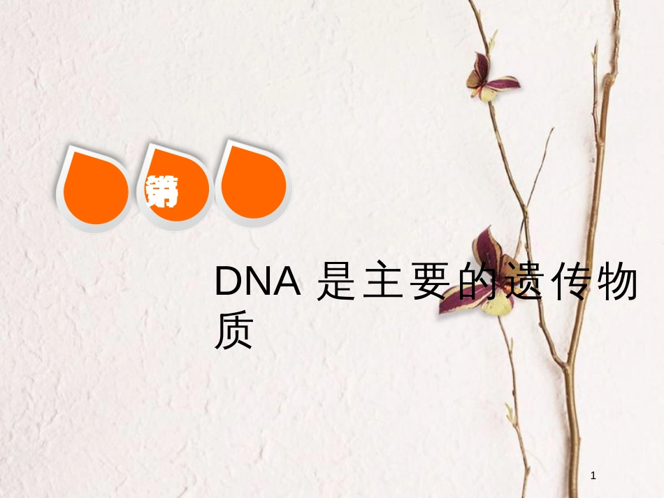 2019版高考生物一轮复习 第六单元 基因的本质与表达 第一讲 DNA是主要的遗传物质精选课件_第1页
