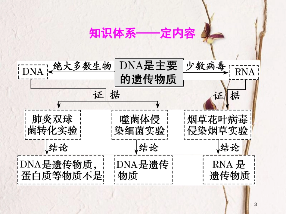 2019版高考生物一轮复习 第六单元 基因的本质与表达 第一讲 DNA是主要的遗传物质精选课件_第3页
