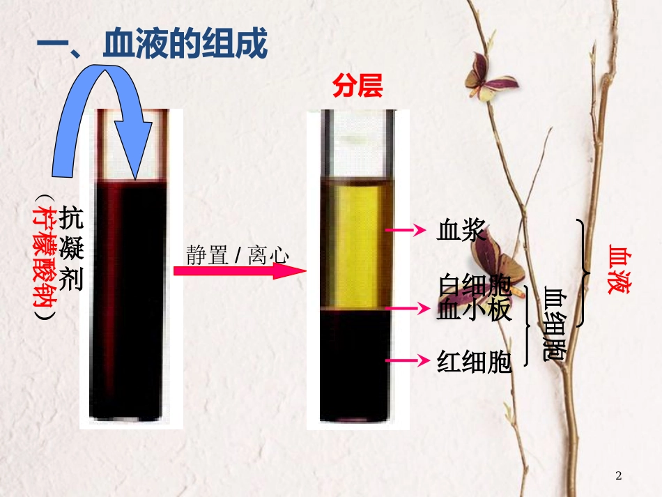 七年级生物下册 4.4.1流动的组织——血液课件 （新版）新人教版_第2页