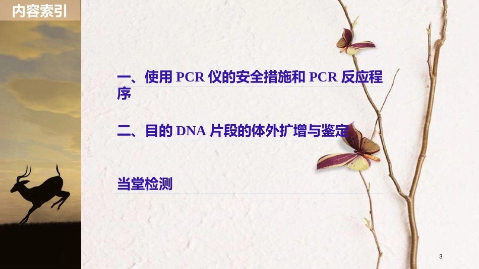 高中生物 第四章 生物化学与分子生物学技术实践 第10课时 分子生物学技术同步备课课件 苏教版选修1_第3页