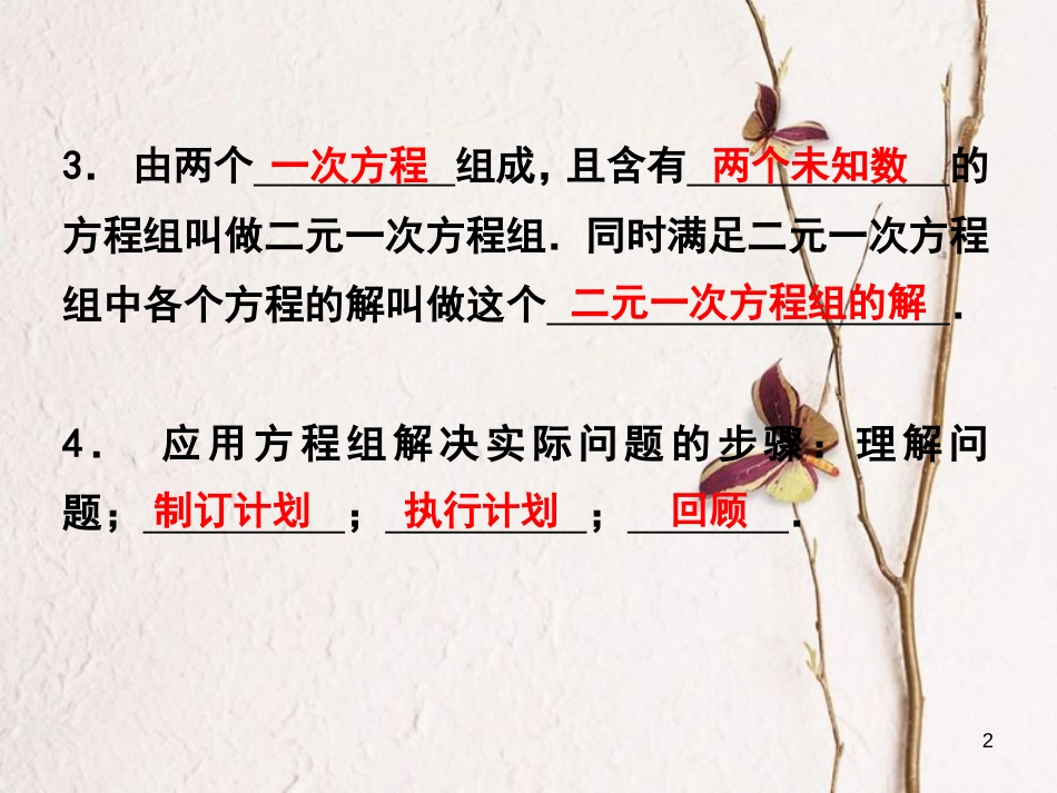 浙江省嘉兴市秀洲区七年级数学下册 期末复习二 二元一次方程组习题课件 （新版）浙教版_第2页