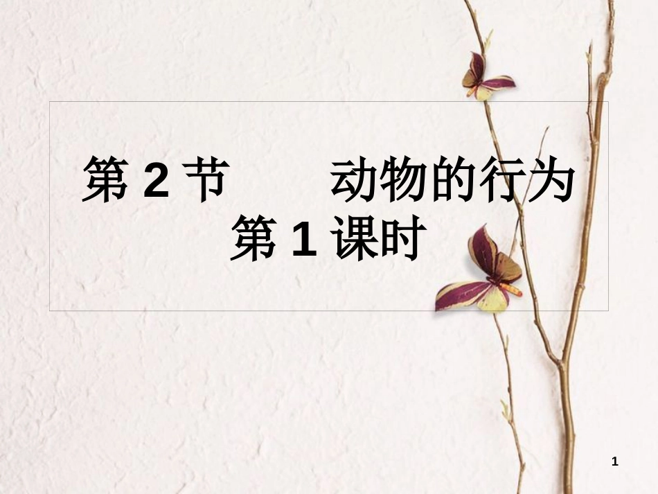 学年八年级生物上册 16.2 动物的行为课件1 苏科版_第1页