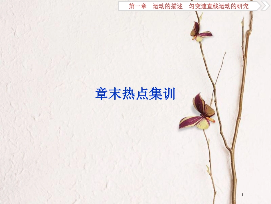 2019届高考物理总复习 第一章 运动的描述 匀变速直线运动的研究章末热点集训课件_第1页
