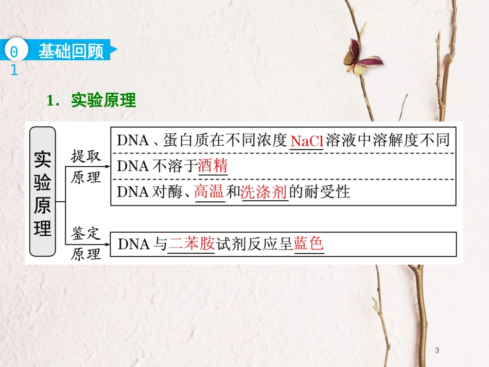 （全国通用版）2019版高考生物一轮复习 选考部分 生物技术实践 第3讲 生物技术在其他方面的应用课件_第3页