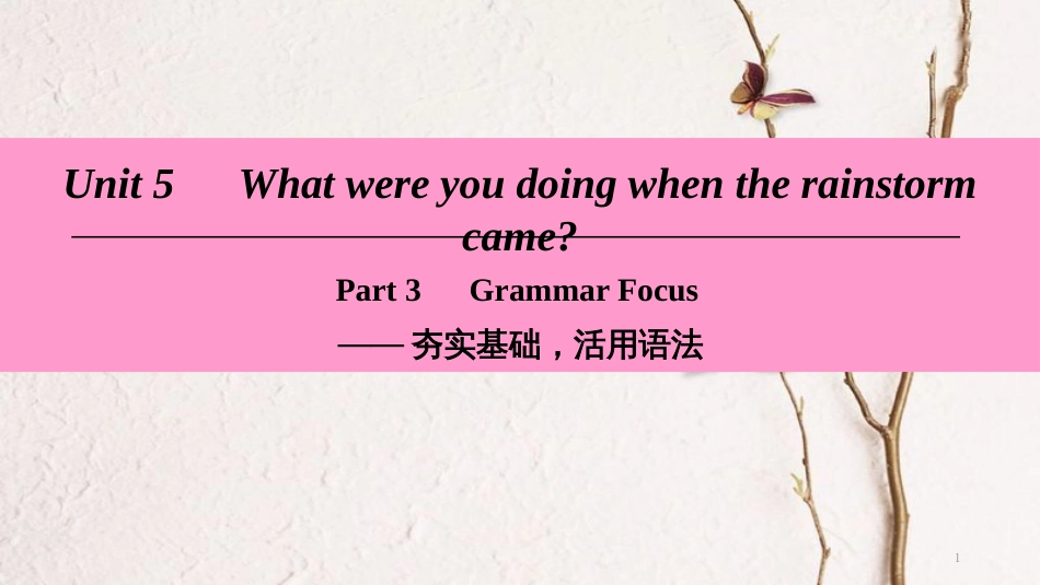 学年八年级英语下册 Unit 5 What were you doing when the rainstorm came Part 3 Grammar Focus课件 （新版）人教新目标版_第1页