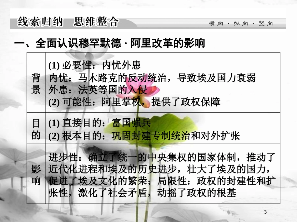 高中历史 第6单元 穆罕默德&#8226;阿里改革单元总结课件 新人教版选修1_第3页