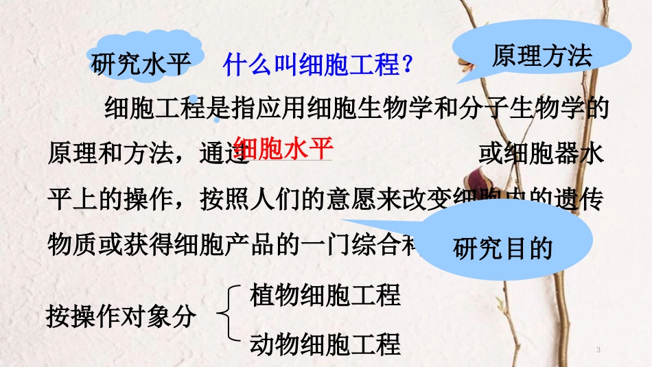 吉林省伊通满族自治县高中生物 第二章 细胞工程 2.1.1 植物细胞工程的基本技术课件 新人教版选修3_第3页