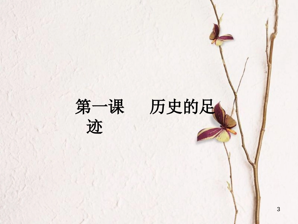九年级政治全册 第一单元 历史启示录 第一课《历史的足迹》课件3 教科版_第3页