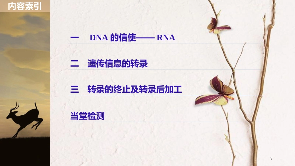 高中生物 第3章 遗传信息的复制与表达 第9课时 遗传信息的表达(Ⅰ)课件 北师大版必修2_第3页