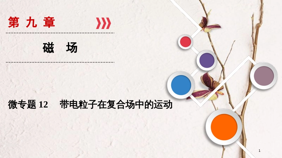 2019年高考物理大一轮复习 微专题12 带电粒子在复合场中的运动课件 新人教版_第1页