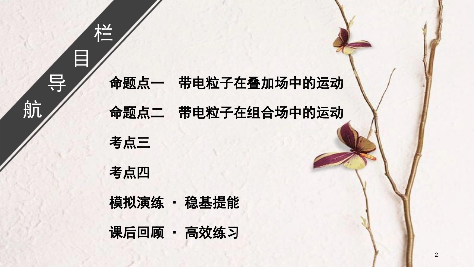 2019年高考物理大一轮复习 微专题12 带电粒子在复合场中的运动课件 新人教版_第2页