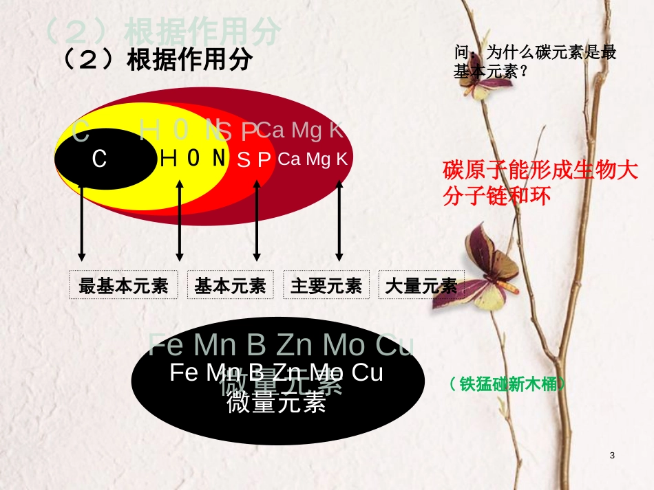 辽宁省北票市高中生物 第二章 组成细胞的分子 2.5 细胞中的元素和化合物（1）课件 新人教版必修1_第3页