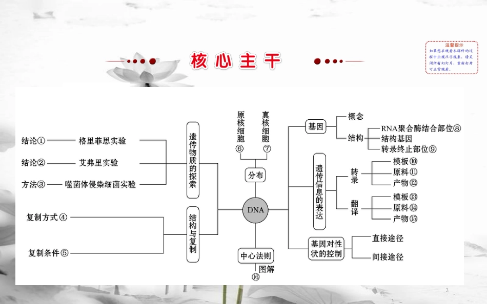 届高三生物二轮复习 2.6 专题6 遗传的分子基础课件_第3页