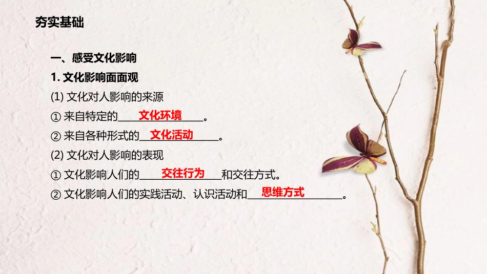 高考政治一轮复习 第一单元 文化与生活 第二课 文化对人的影响课件 新人教版必修3_第3页