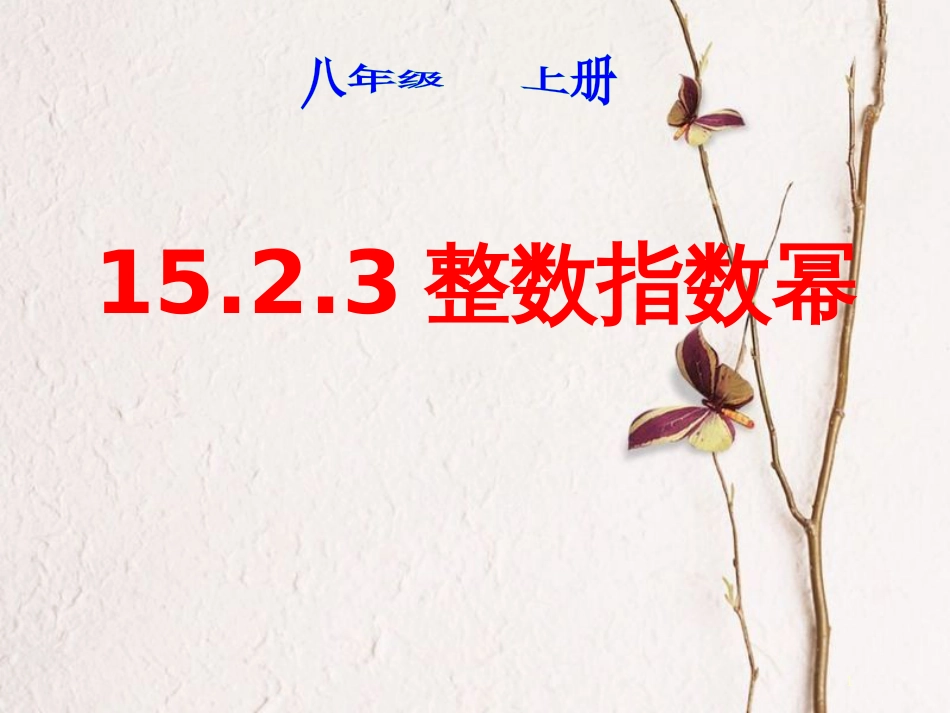 陕西省安康市石泉县池河镇八年级数学上册 15.2 分式的运算 15.2.3 整数指数幂课件 （新版）新人教版_第1页