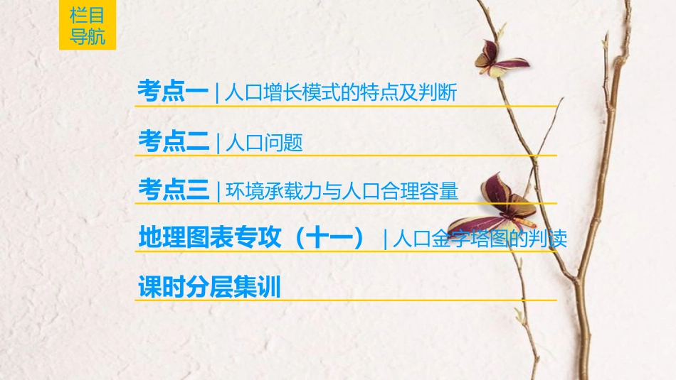 2019版高考地理一轮复习 第5章 人口的增长、迁移与合理容量 第1节 人口增长的模式与人口合理容量课件 中图版(1)_第2页