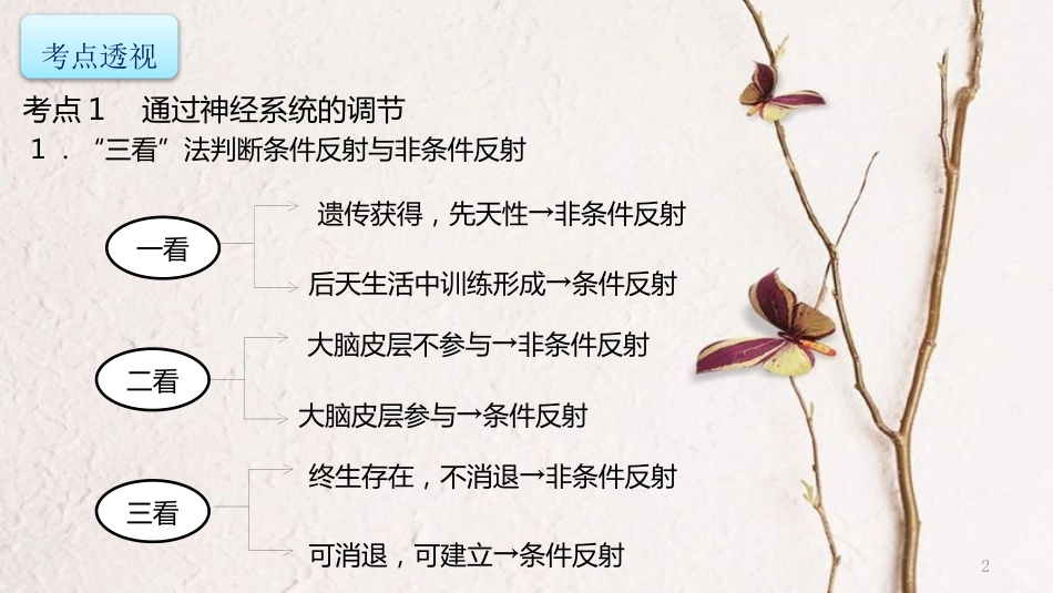 年高考生物二轮复习 专题5 生命活动的调节 第2讲 神经调节与体液调节课件_第2页