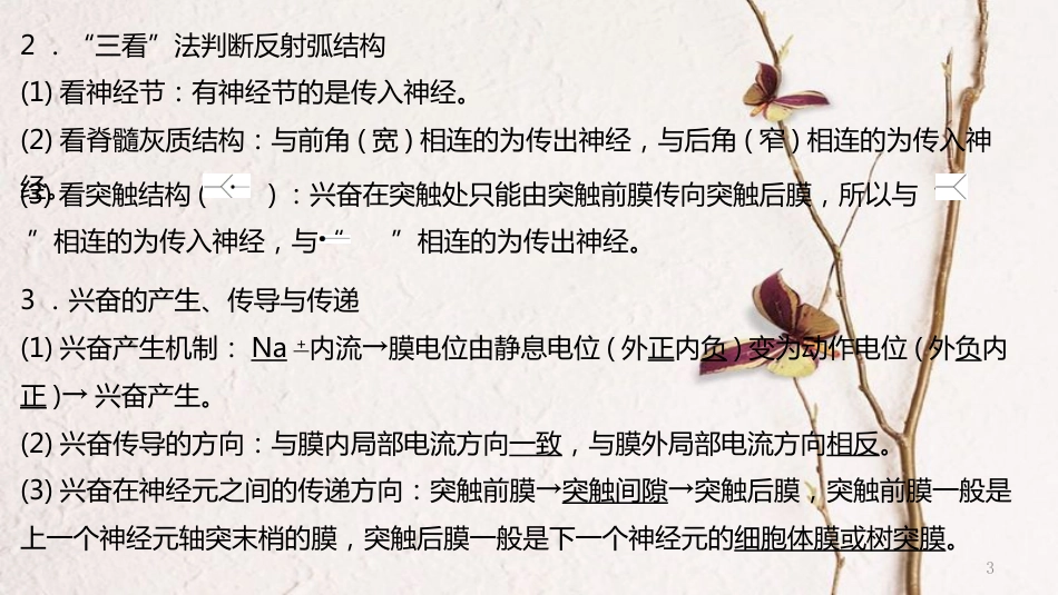 年高考生物二轮复习 专题5 生命活动的调节 第2讲 神经调节与体液调节课件_第3页