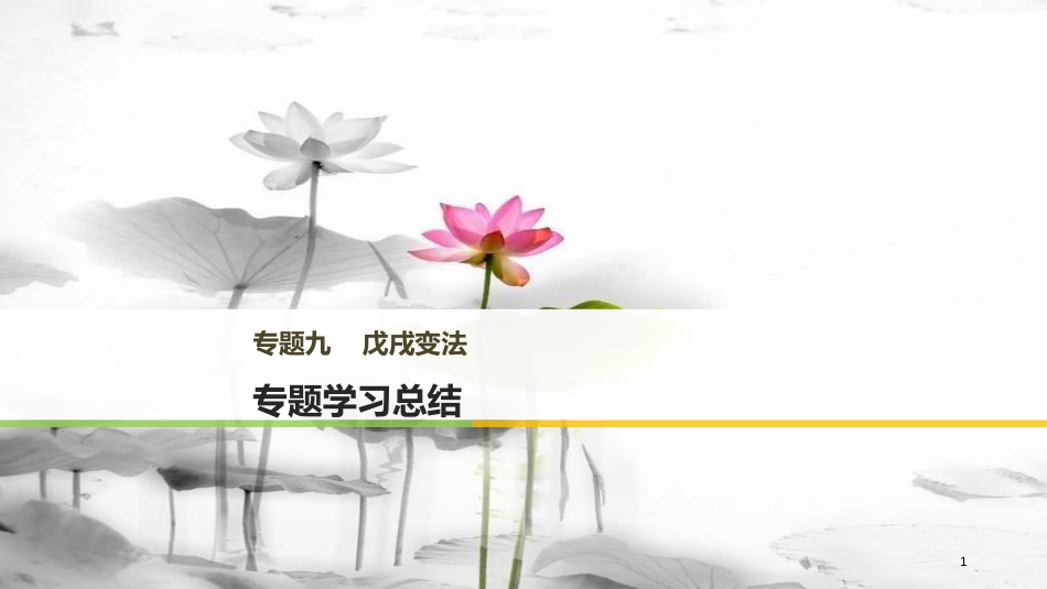 高中历史 专题九 戊戌变法专题学习总结课件 人民版选修1_第1页