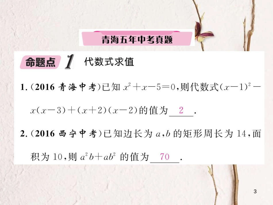 （青海专版）中考数学复习 第1编 教材知识梳理篇 第1章 数与式 第3节 代数式及整式运算（精讲）课件_第3页