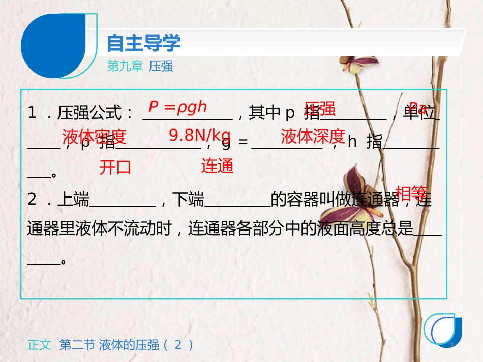 八年级物理下册 第九章 第二节 液体的压强课件2 （新版）新人教版_第2页