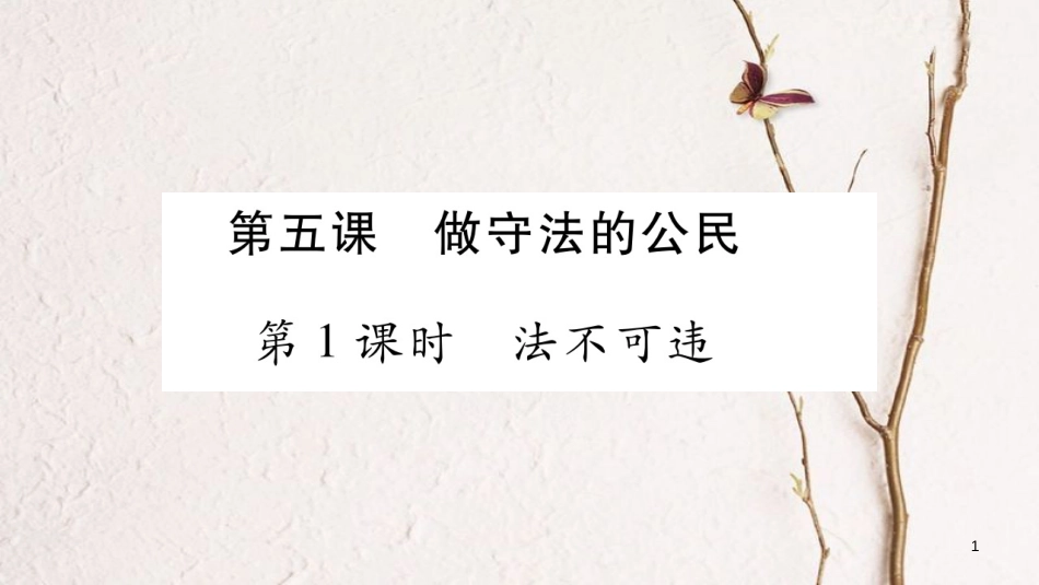 八年级道德与法治上册 第二单元 遵守社会规则 第五课 做守法的公民习题课件 新人教版_第1页