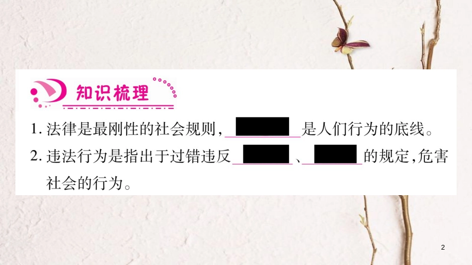 八年级道德与法治上册 第二单元 遵守社会规则 第五课 做守法的公民习题课件 新人教版_第2页