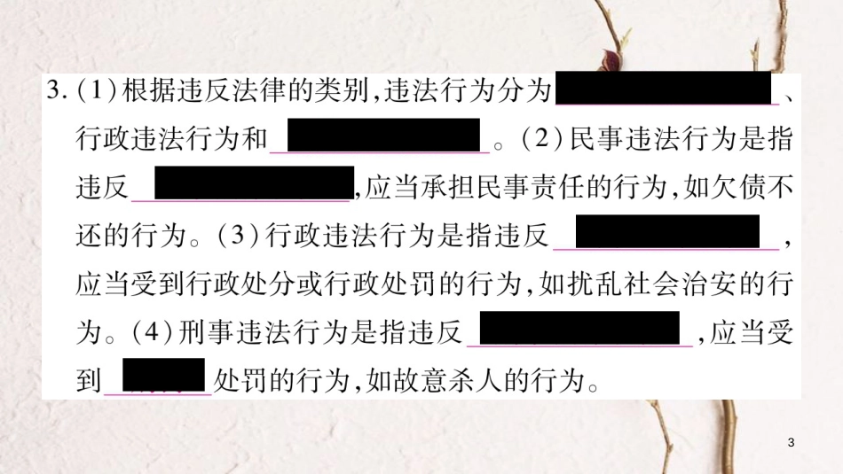 八年级道德与法治上册 第二单元 遵守社会规则 第五课 做守法的公民习题课件 新人教版_第3页