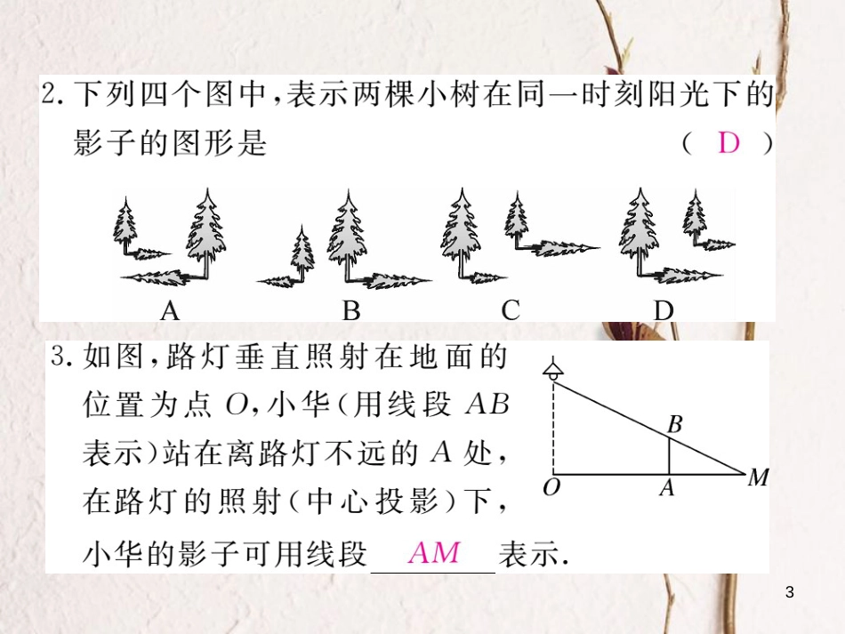 九年级数学下册 第25章 投影与视图 25.1 第1课时  平行投影与中心投影练习课件 （新版）沪科版_第3页