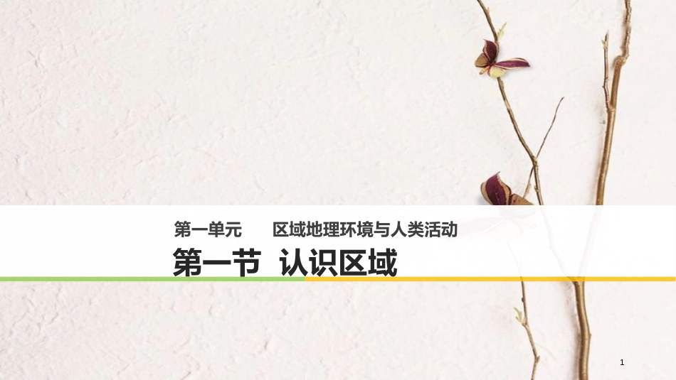 高中地理 第一单元 区域地理环境与人类活动 第一节 认识区域同步备课课件 鲁教版必修3_第1页