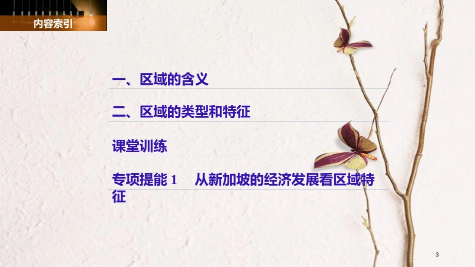 高中地理 第一单元 区域地理环境与人类活动 第一节 认识区域同步备课课件 鲁教版必修3_第3页