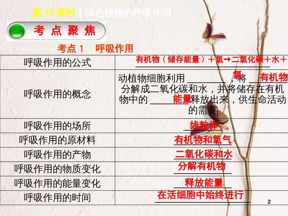 中考生物 第三单元 生物圈中的绿色植物 第10课时 绿色植物的呼吸作用课件_第2页