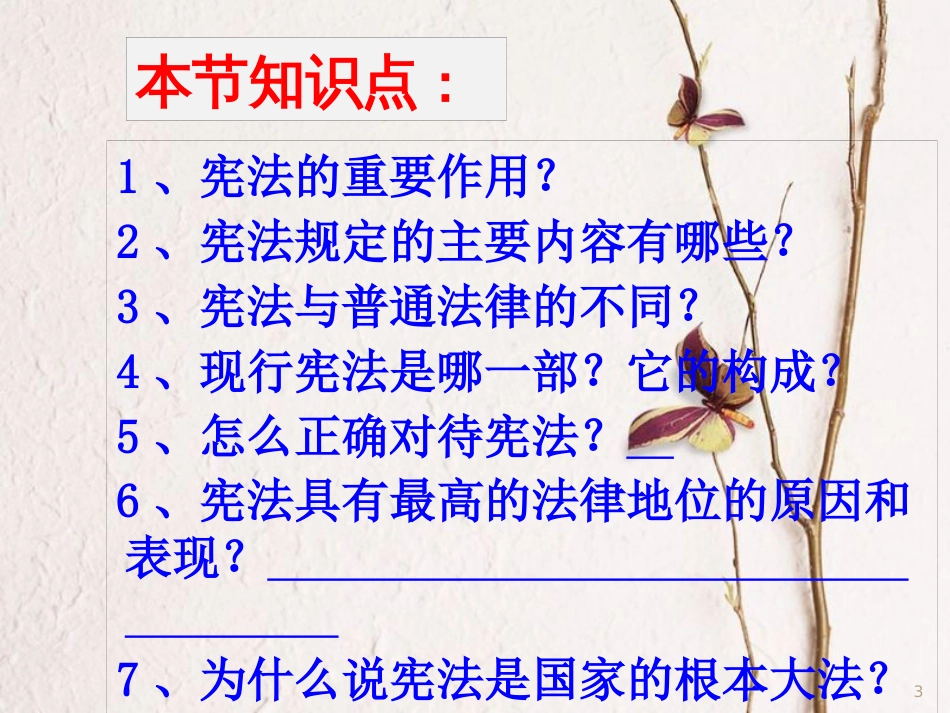 江西省九年级政治全册 第三单元 融入社会 肩负使命 第六课 参与政治生活 第2框《宪法是国家的根本大法》课件 新人教版_第3页