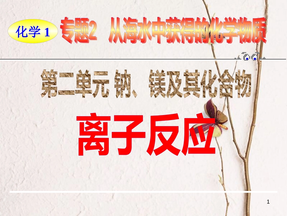 高中化学 专题2 从海水中获得的化学物质 第2单元 钠、镁及其化合物——离子反应课件 苏教版必修1_第1页