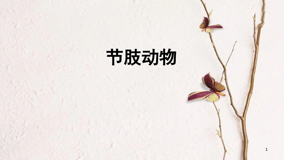 八年级生物上册 第五单元 第一章 第一节 腔肠动物和扁形动物《节肢动物》课件 （新版）新人教版_第1页