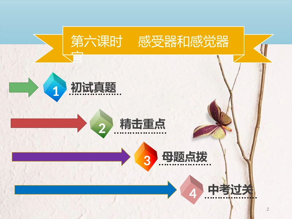 广东省中考生物 模块四 生物圈中的人 第六课时 感受器和感觉器官课件_第2页