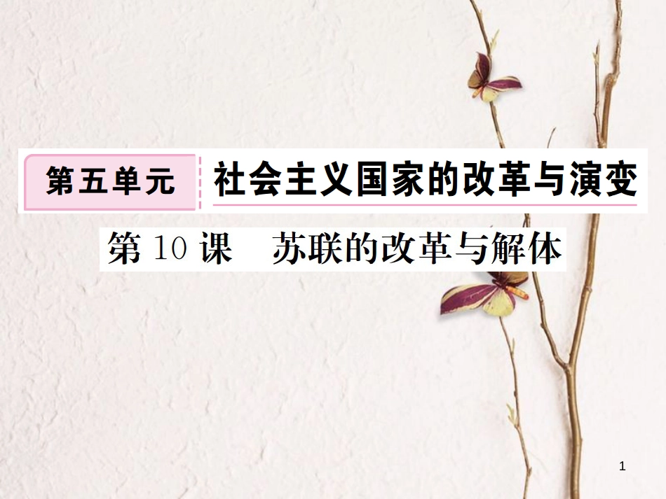 （通用版）九年级历史下册 第五单元 社会主义国家的改革与演变 第10课 苏联的改革与解体习题课件 新人教版_第1页