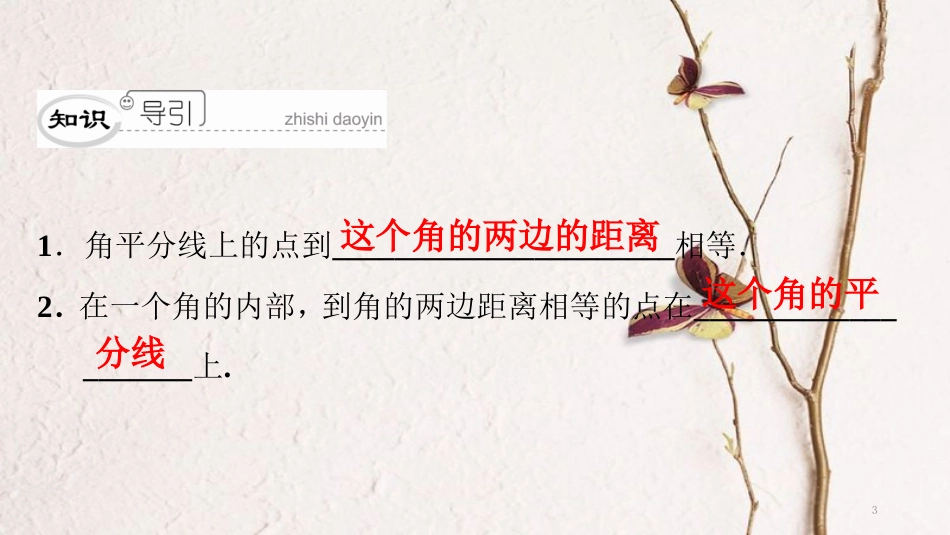 八年级数学下册 第一章 三角形的证明 1.4 角平分线（1）典型训练课件 （新版）北师大版_第3页