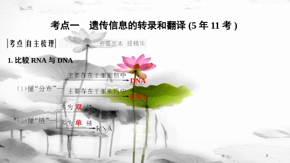 届高考生物一轮复习 第六单元 遗传的分子基础 第19讲 基因的表达课件_第2页