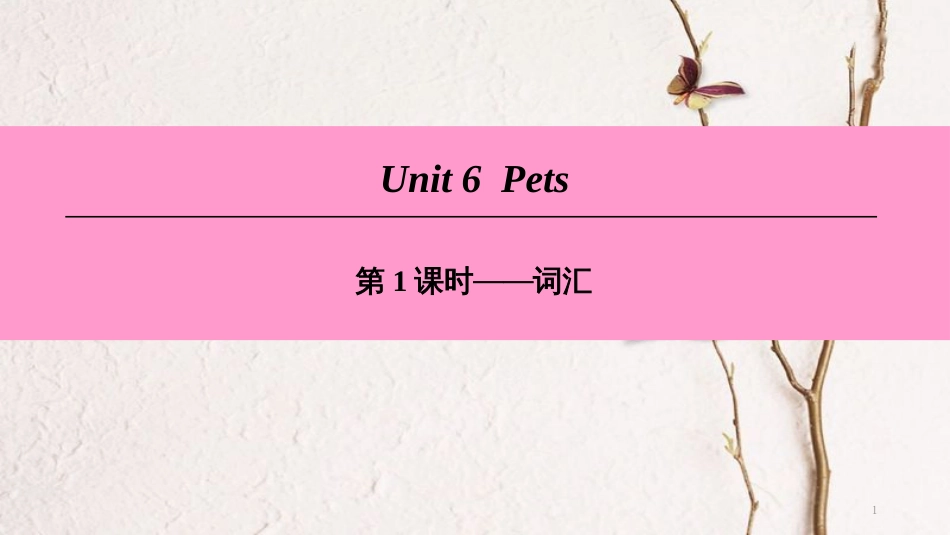 （广州沈阳通用）八年级英语下册 Unit 6 Pets（第1课时）词汇课件 牛津深圳版_第1页