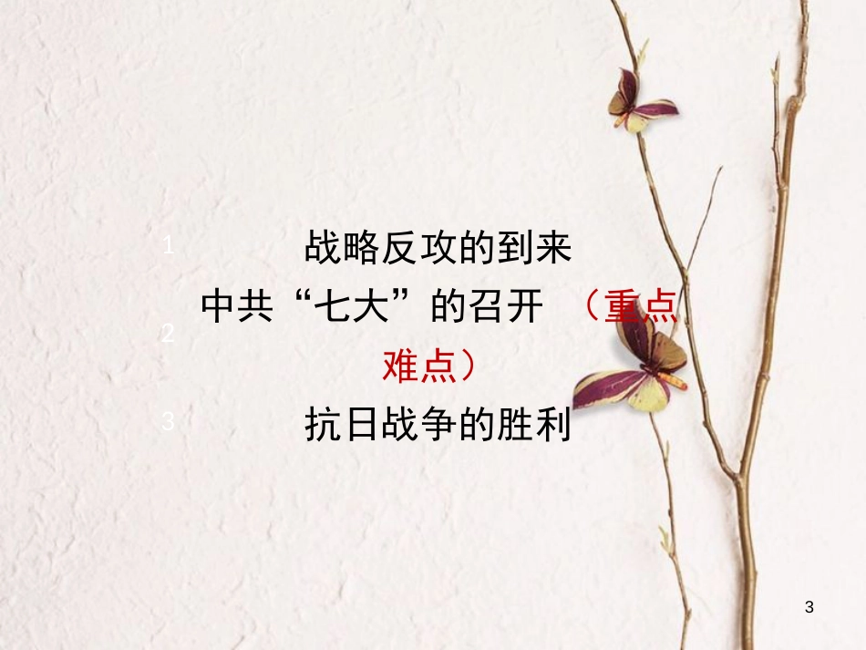 八年级历史上册 20《辉煌的胜利》课件 岳麓版_第3页