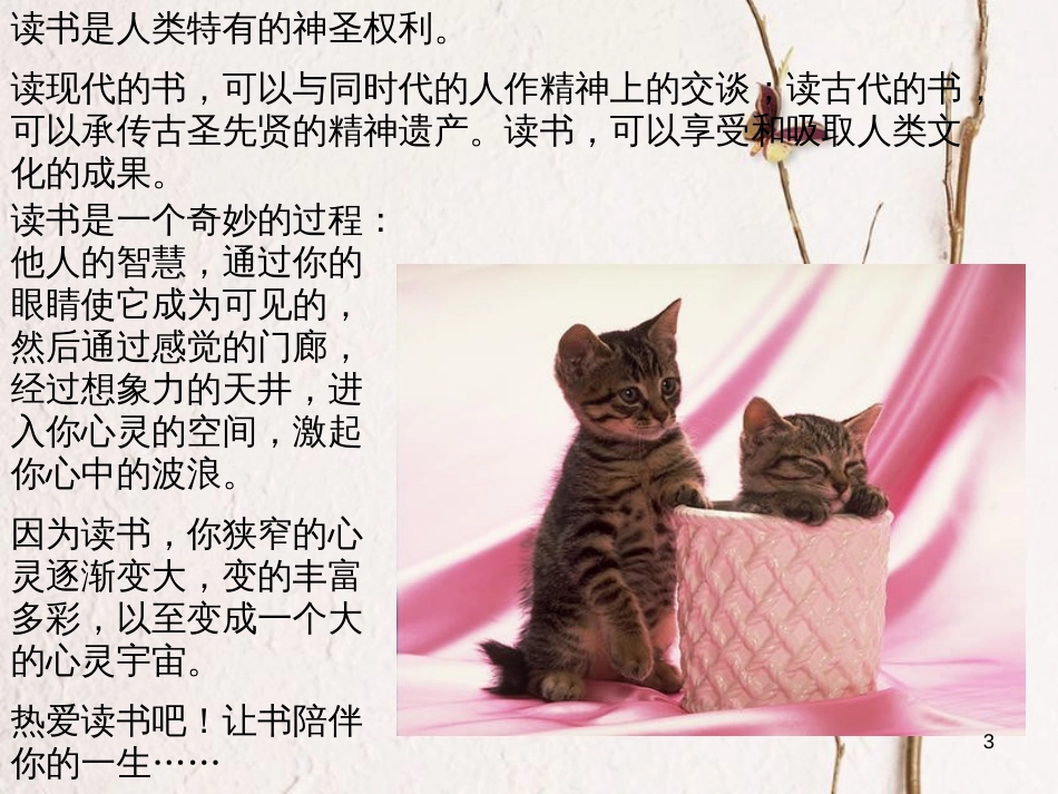 七年级语文上册 第四单元《综合性学习 少年正是读书时》课件 新人教版_第3页