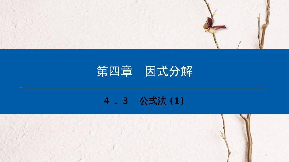 八年级数学下册 第四章 因式分解 4.3 公式法（1）典型训练课件 （新版）北师大版_第1页