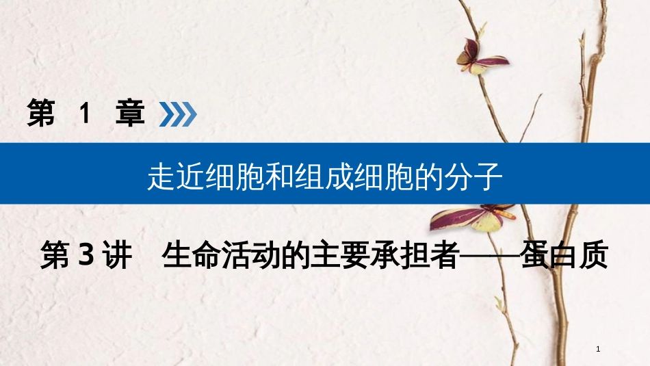 2019版高考生物大一轮复习 第3讲 生命活动的主要承担者优选课件_第1页
