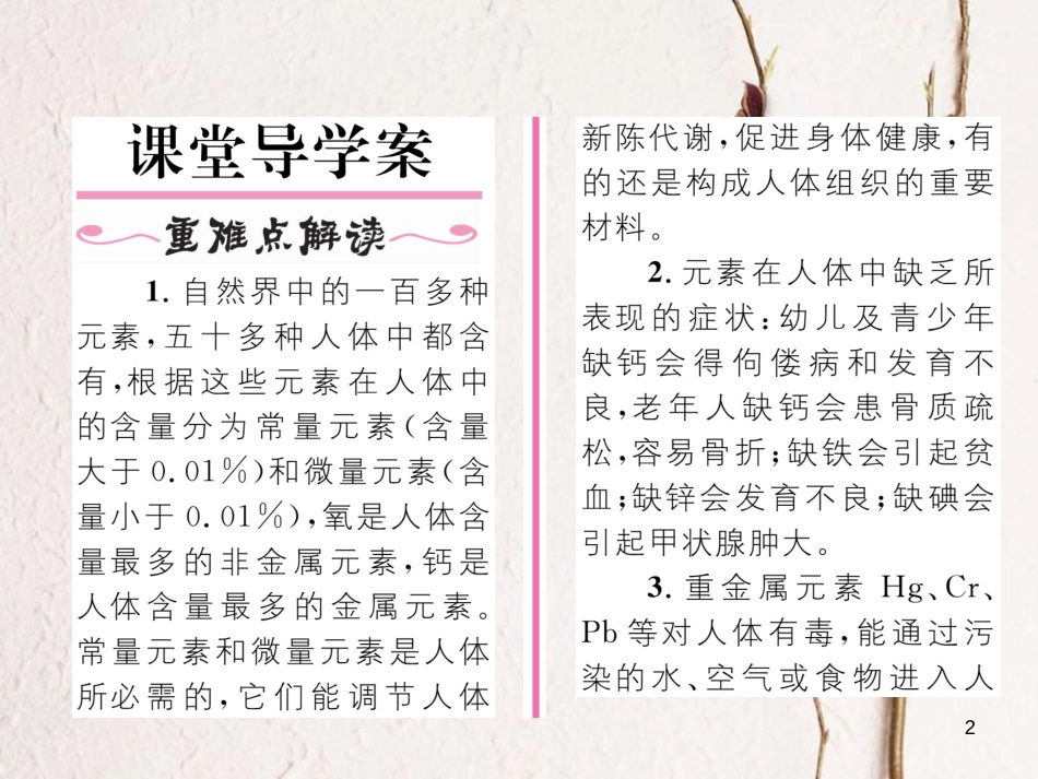 九年级化学下册 第12单元 化学与生活 课题2 化学元素与人体健康作业课件 （新版）新人教版_第2页