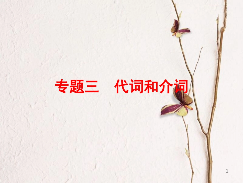 2019版高三英语一轮复习 第2部分 语法专题突破 专题3 代词和介词课件 北师大版_第1页