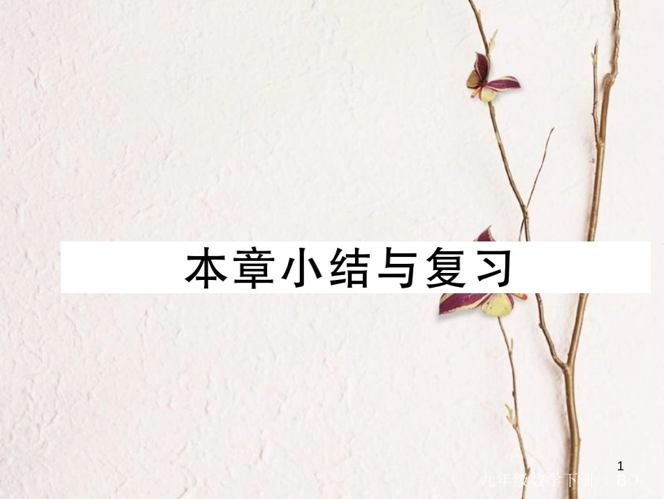 江西省2018年九年级数学下册 第二章 二次函数本章小结与复习练习课件 （新版）北师大版_第1页