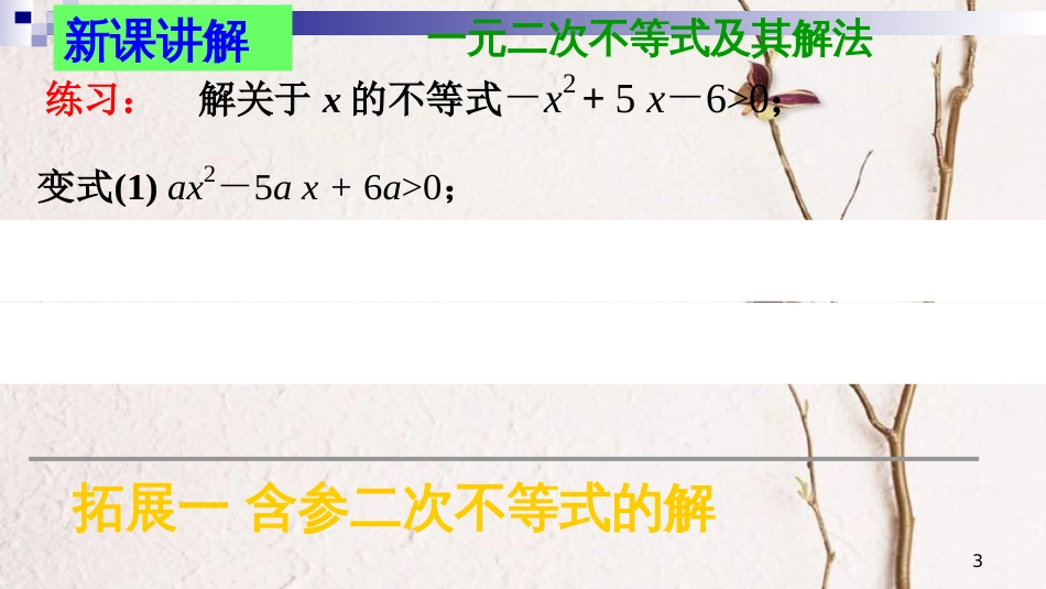 山西省忻州市高考数学 专题 含参数的一元二次不等式复习课件_第3页