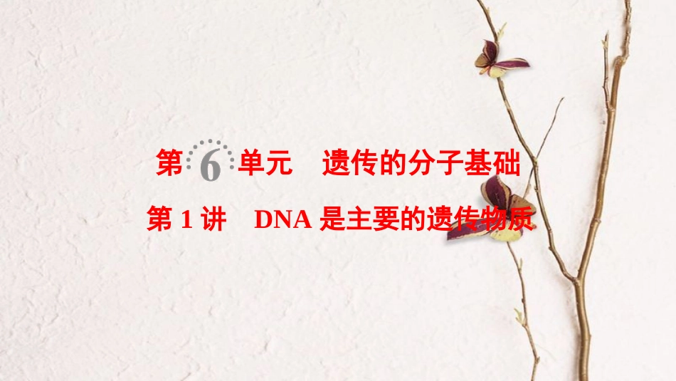 （全国版）2019版高考生物一轮复习 第6单元 遗传的分子基础 第1讲 DNA是主要的遗传物质课件_第1页