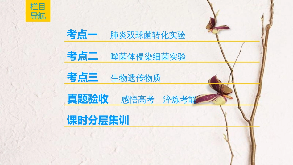 （全国版）2019版高考生物一轮复习 第6单元 遗传的分子基础 第1讲 DNA是主要的遗传物质课件_第2页